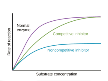 Enzyme Inhibition and Reaction Rate of Enzyme