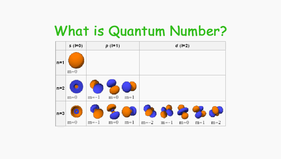 What is quantum number what do quantum number determine Tuition Tube